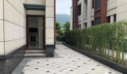 中山三乡新闻爆料,聚焦社区热点事件，揭示民生关切