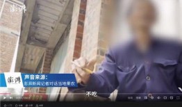 王导爆料真的假的视频,真相还是炒作？