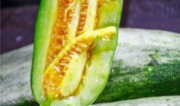 比较热门的网红吃瓜,盘点热门事件背后的真相与笑料